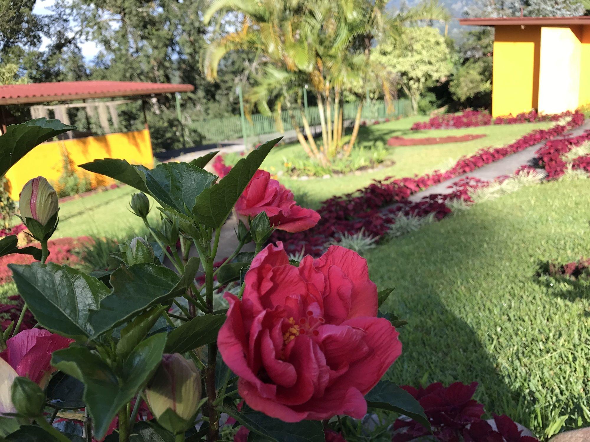 Santuario Lodge Agro-Hotel Boquete Exterior photo